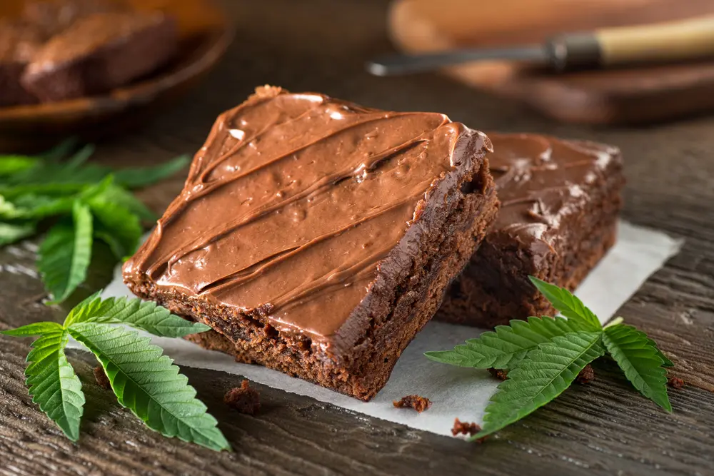 How to Make THC Chocolate Cake: A Descriptive Post | by Laura Esteban |  Medium