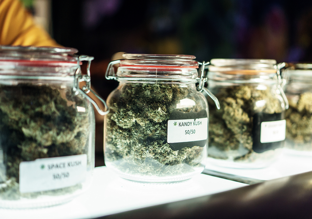 Cannabis Kandy Kush photo