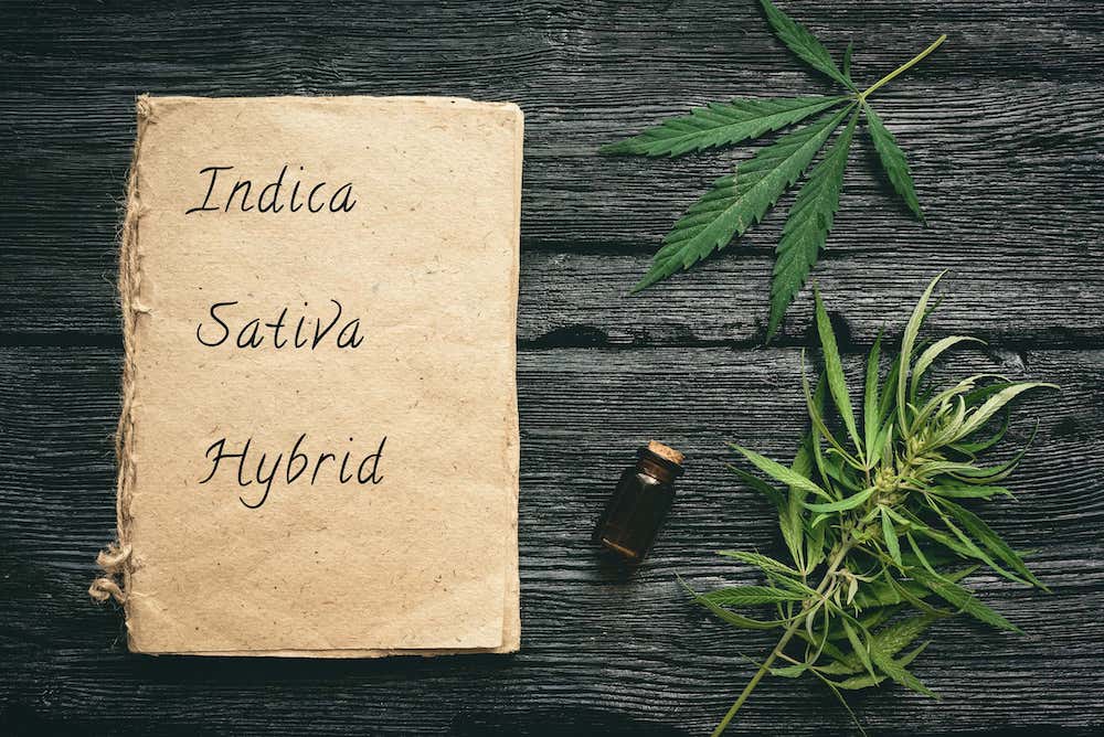 Indica and sativa leaves on the table
