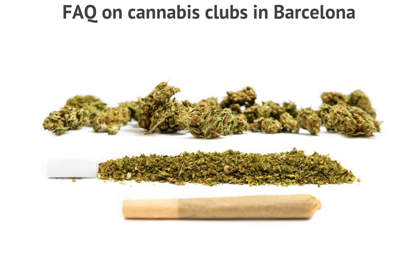 FAQ on cannabis clubs