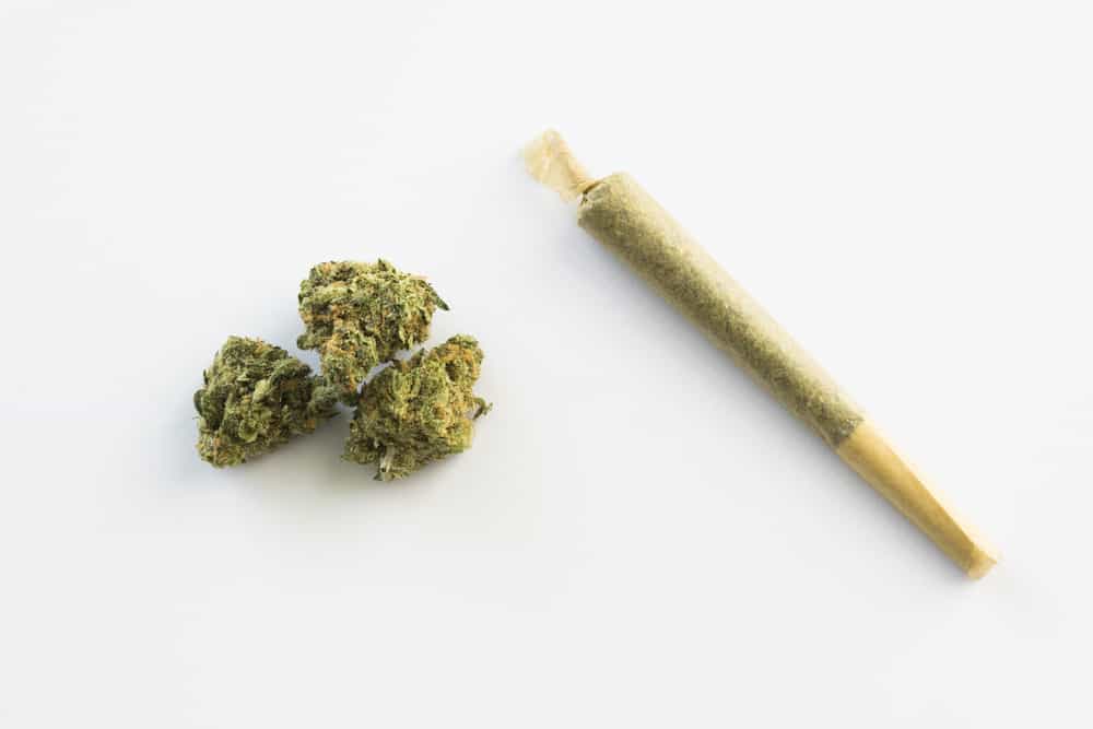 Пропорция марихуаны с табаком марихуана карликовый сорт