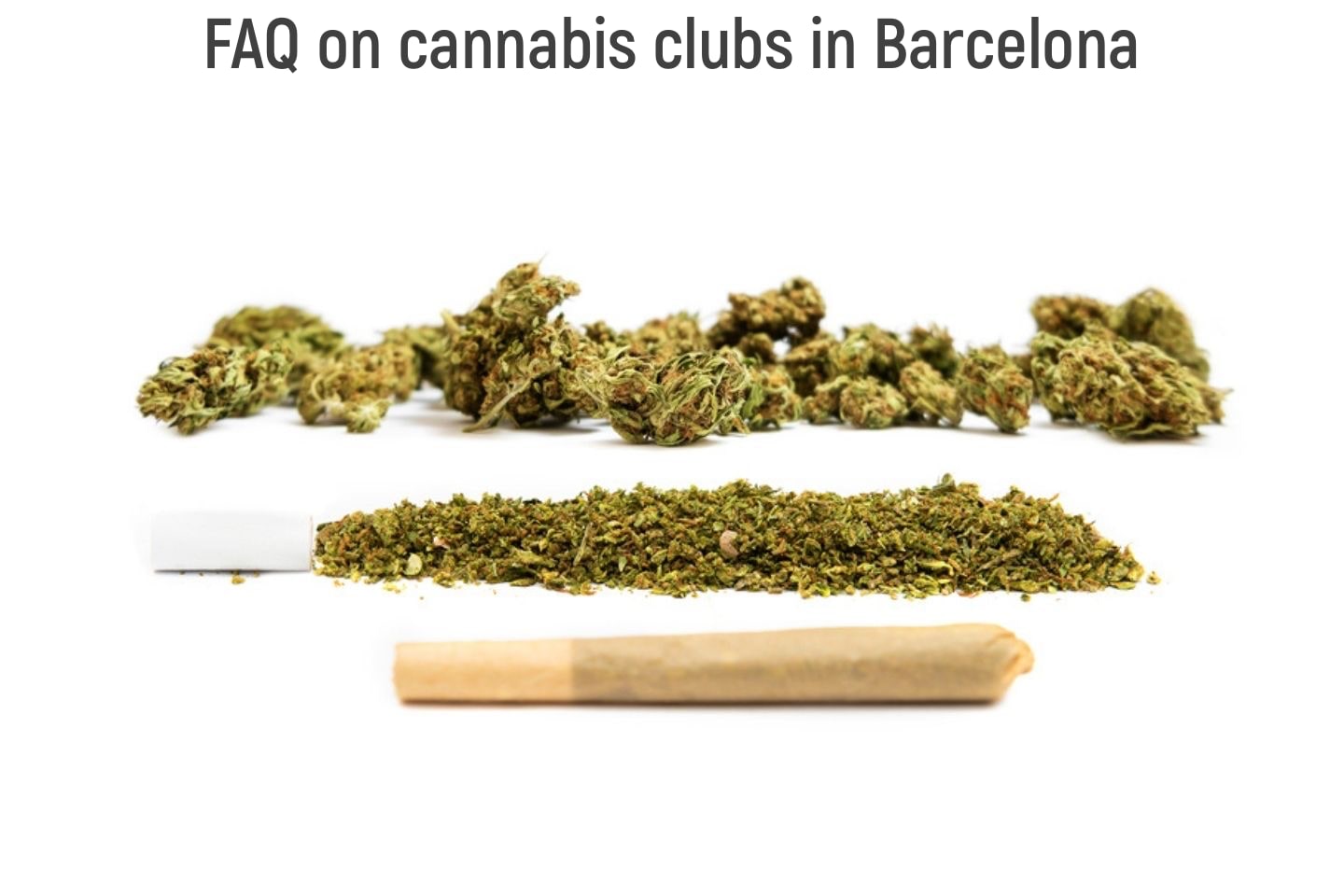 FAQ on cannabis clubs
