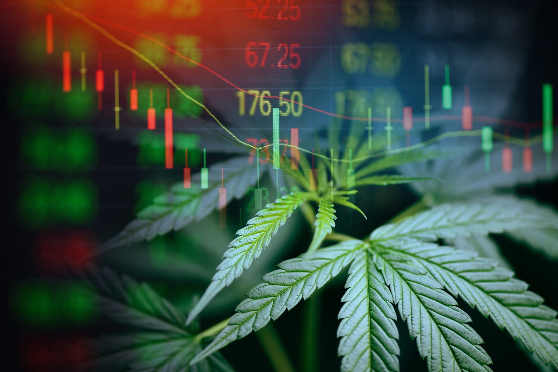 Il rapporto sul mercato della cannabis