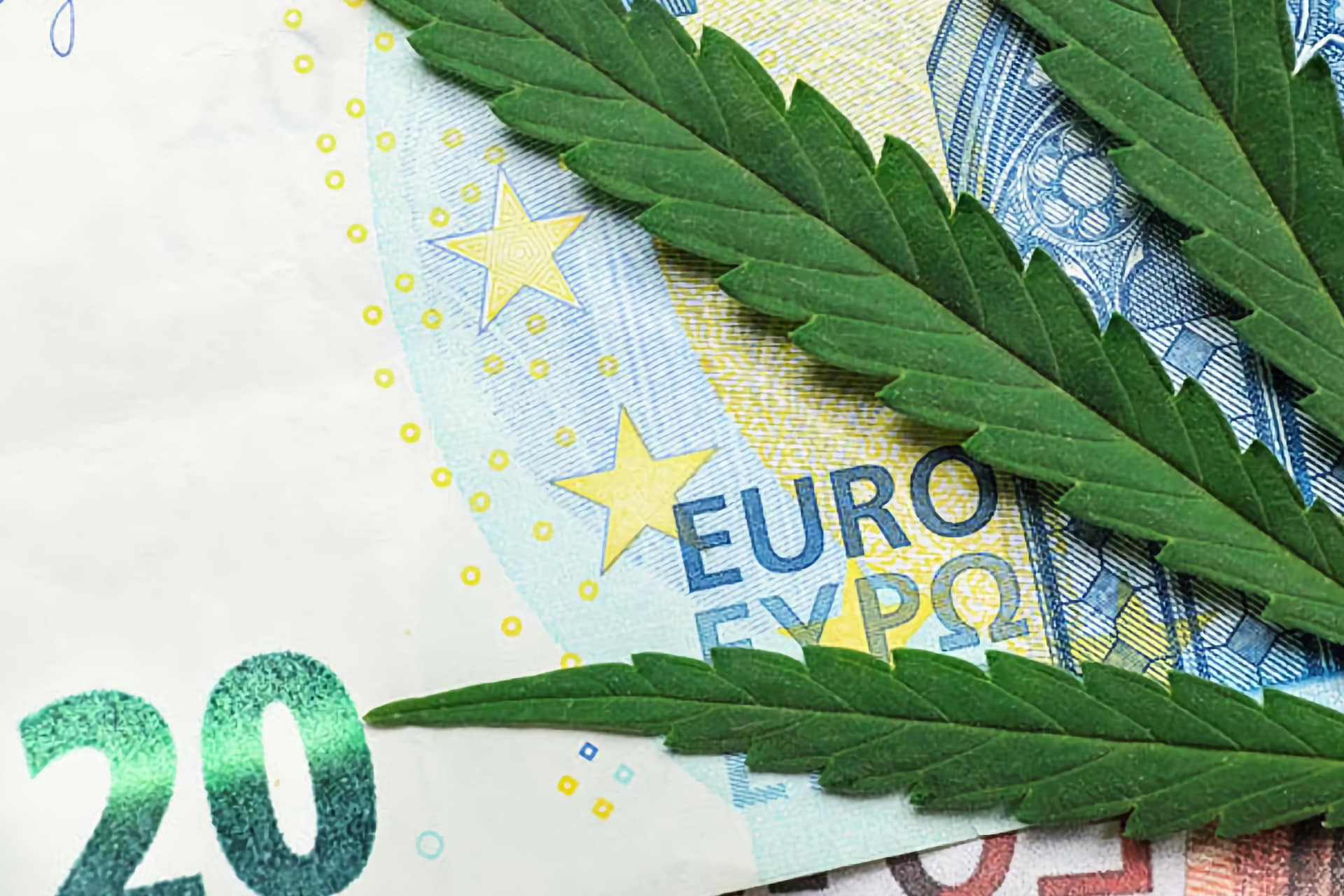 Cannabis-Blätter über Euro-Banknote