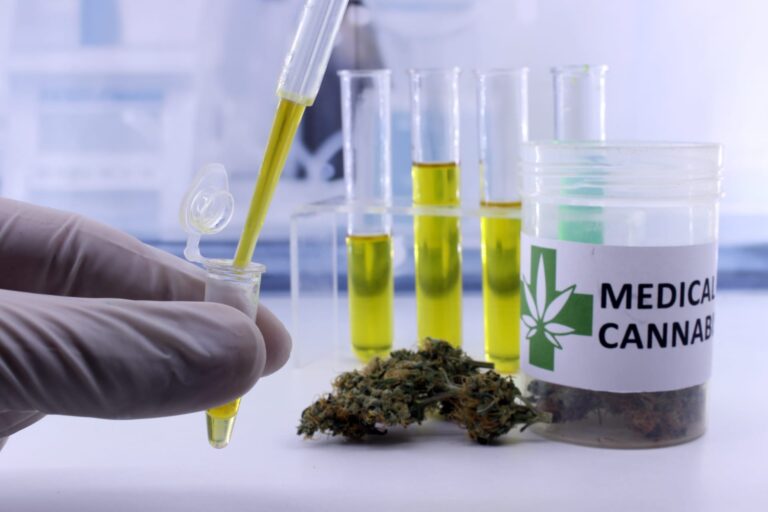Spain Regulates the Medical Use of Cannabis in Hospitals